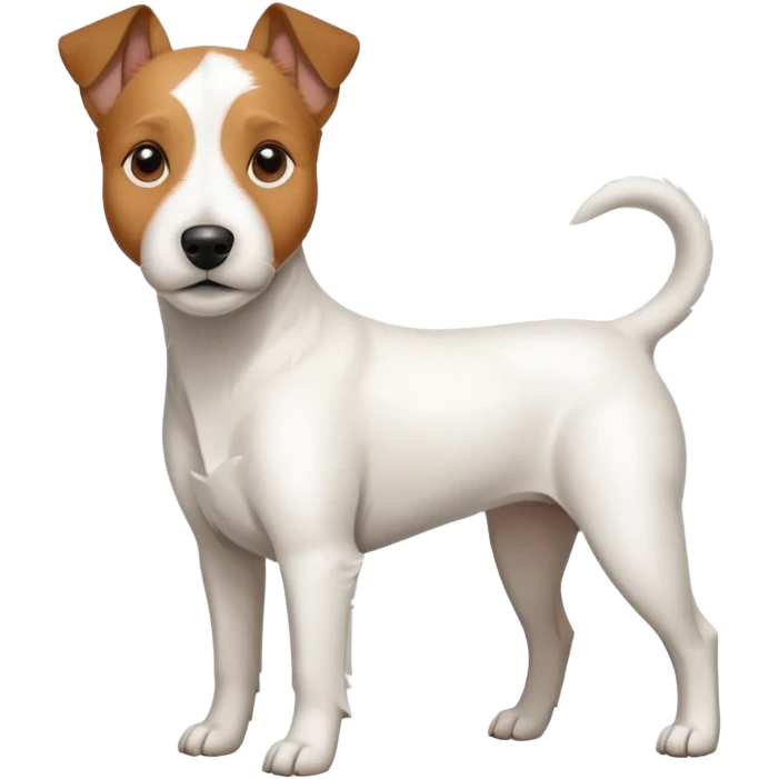 a full body large white parson russell terrier looking dog the size of a kelpie with light brown long ears and a light brown patch on one eye and a large snout emoji