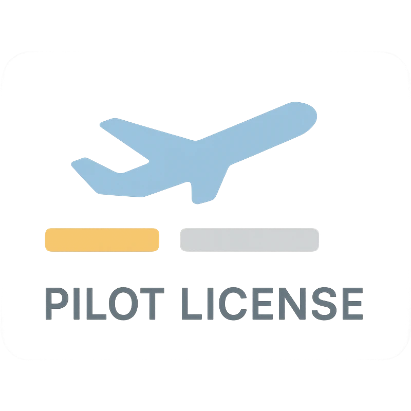 modern sleek pilot license design with minimalist airplane silhouette emoji