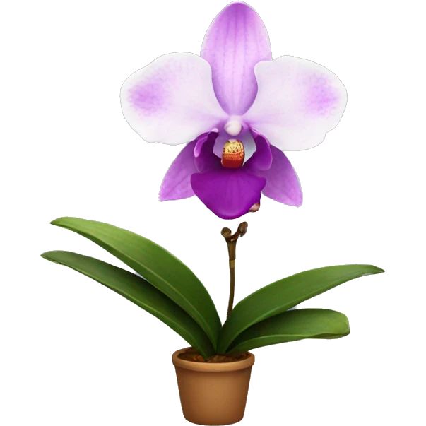orchid emoji