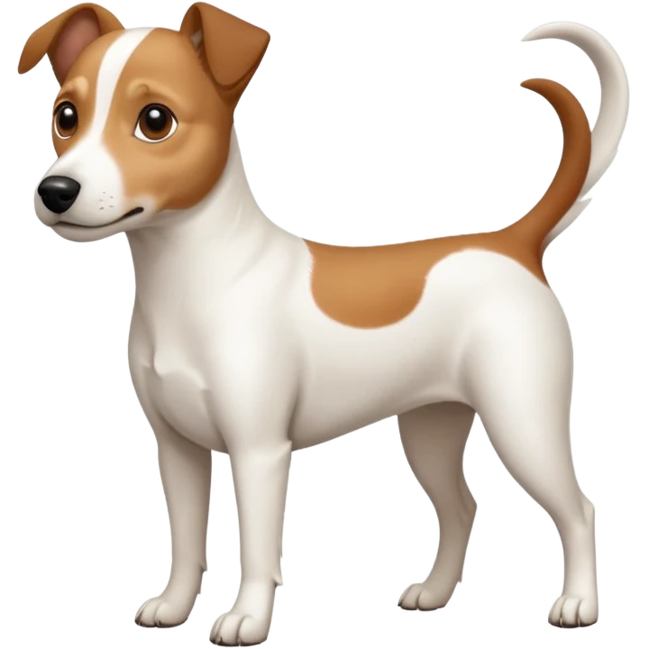 a full body white jack russel looking dog the size of a kelpie with light brown ears and a light brown patch on one eye and a large snout emoji