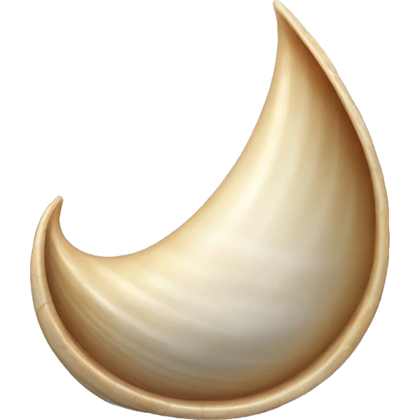long pointy shell emoji