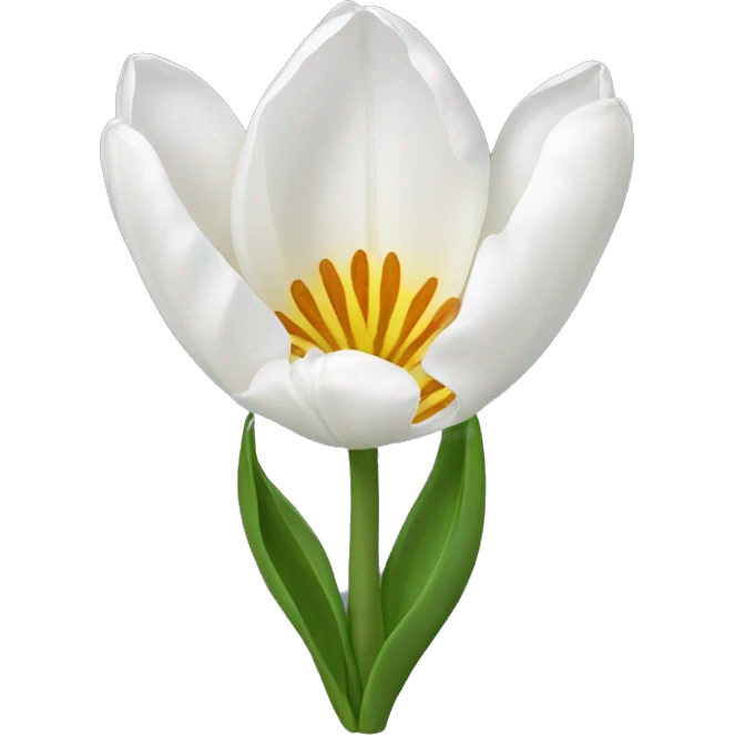 white tulip emoji