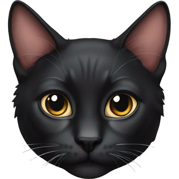 black pursian cat emoji
