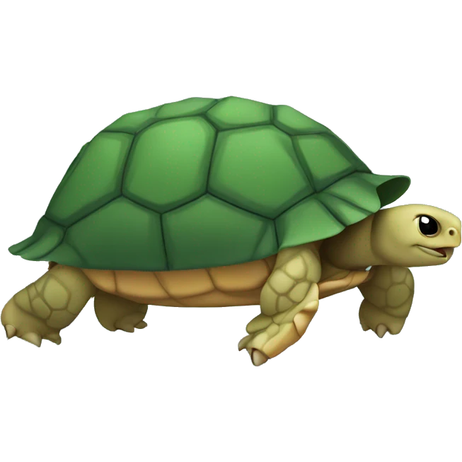 tortoise doing a flip emoji