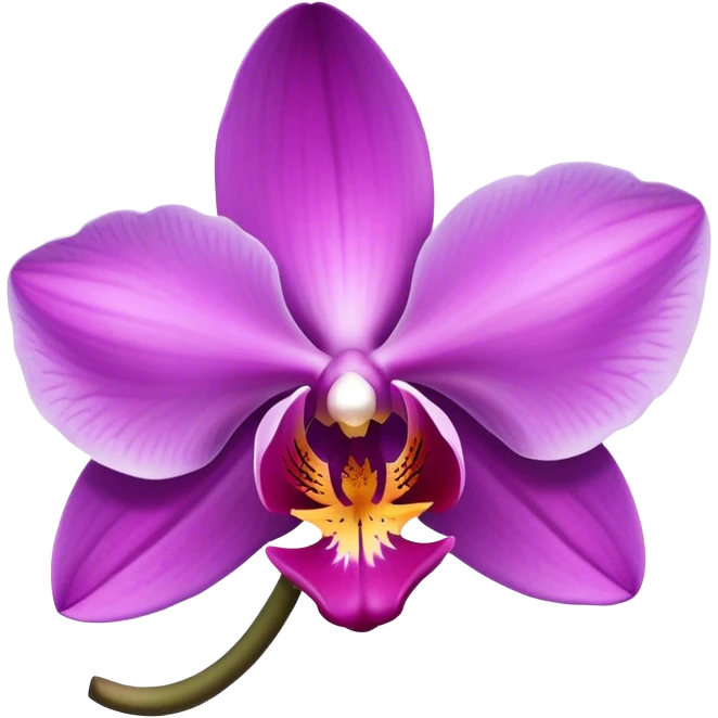 Purple orchid  emoji