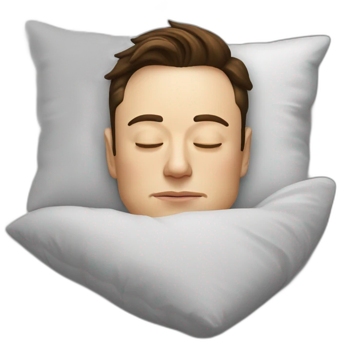 Elon Musk sleeping emoji