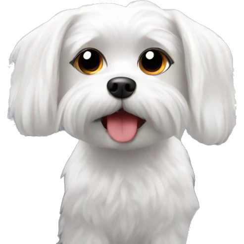 Maltese on a plane emoji