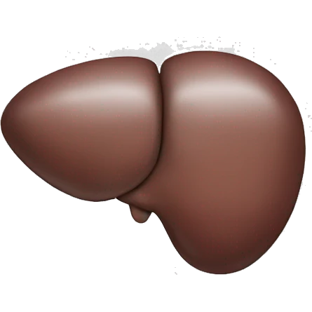 Liver emoji