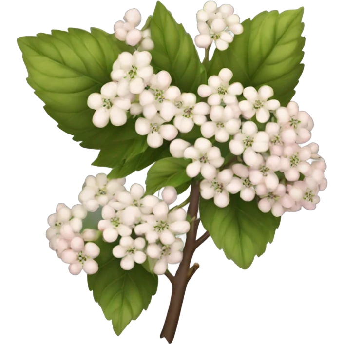 viburnum emoji