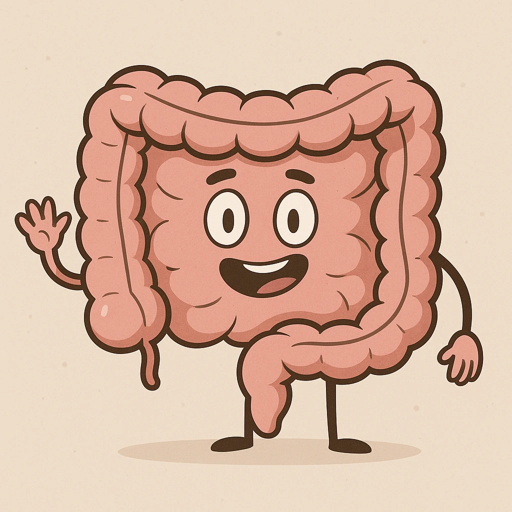 cartoon intestines, simple, friendly, medical icon style emoji