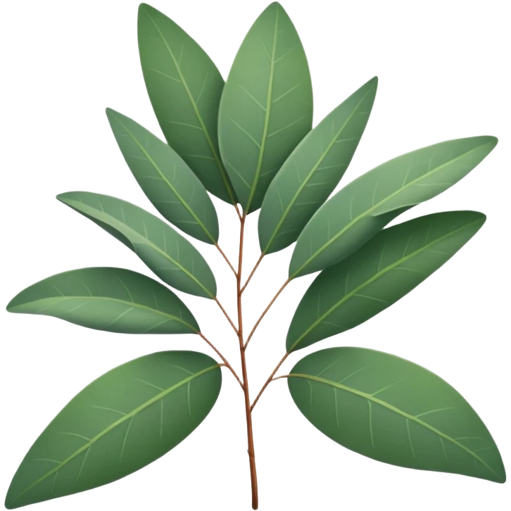 Eucalyptus leafs emoji