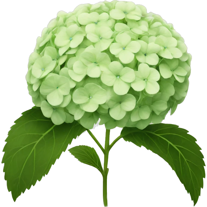 hydrangea  emoji