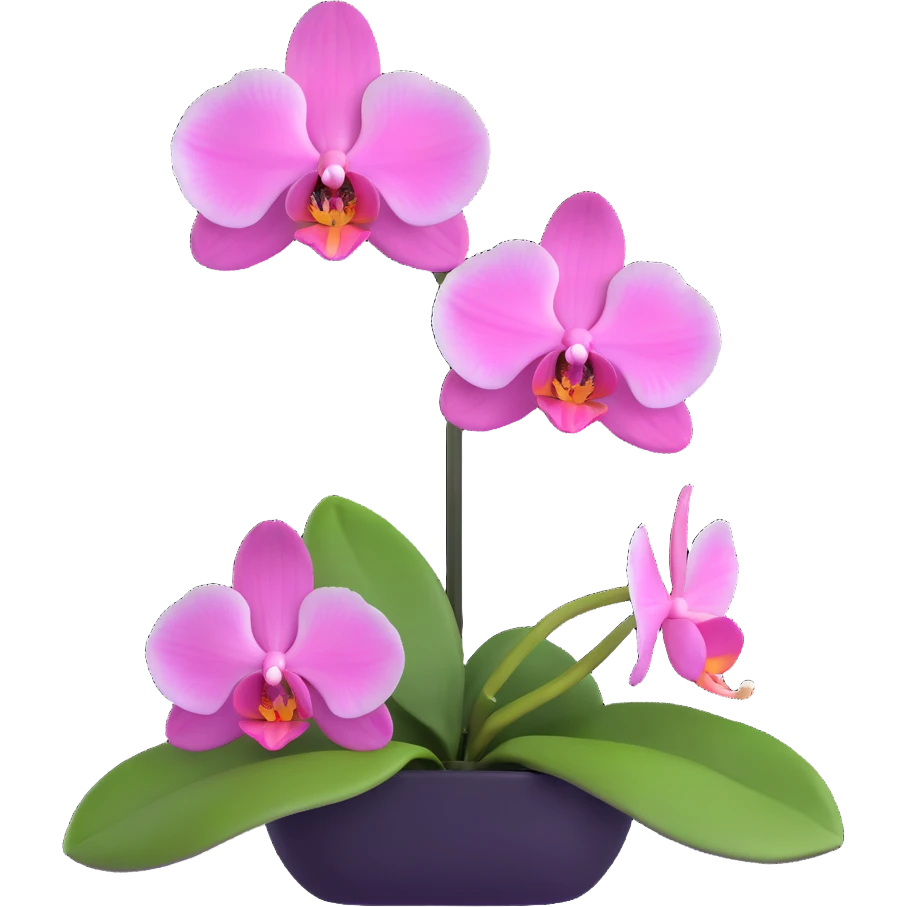 Elegant phalaenopsis moth orchid with detailed white and pink petals and green stem emoji