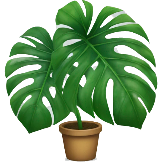 Monstera plant  emoji
