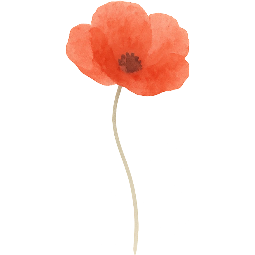 poppy flower, bright red, fine stem, no background emoji