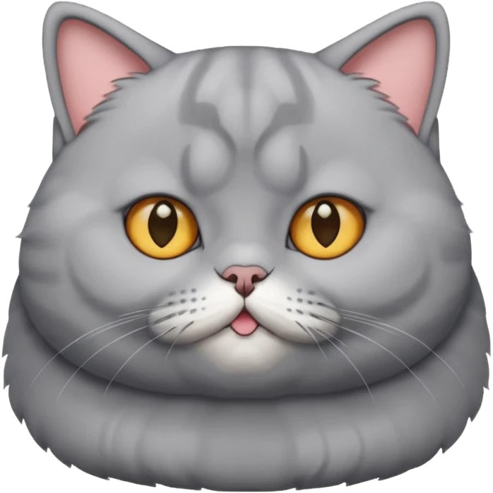 A gray , british Shorthair cat who is a little big and fat emoji