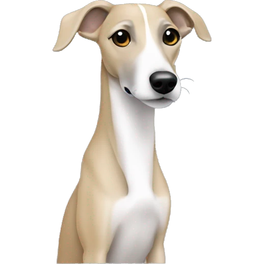 whippet with dark blond girl emoji