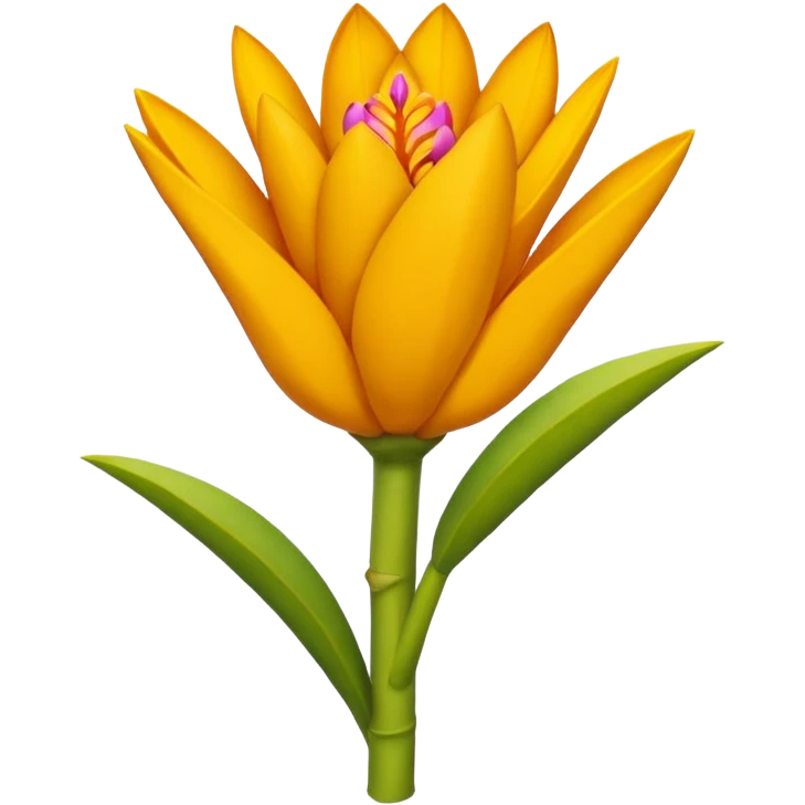 curcuma emoji