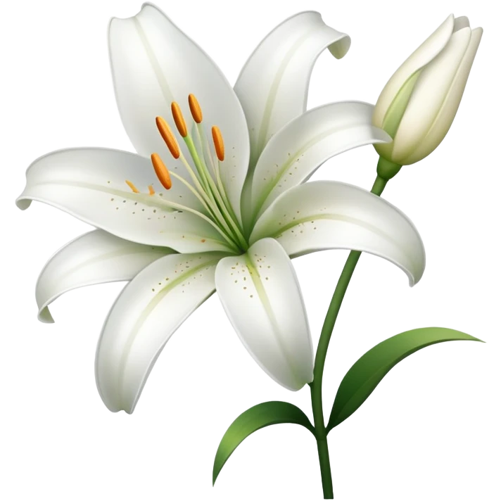 Lily flower  emoji
