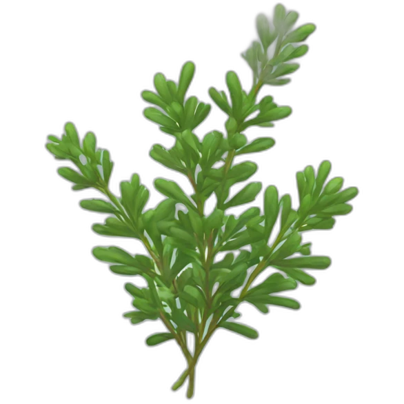 Thyme emoji