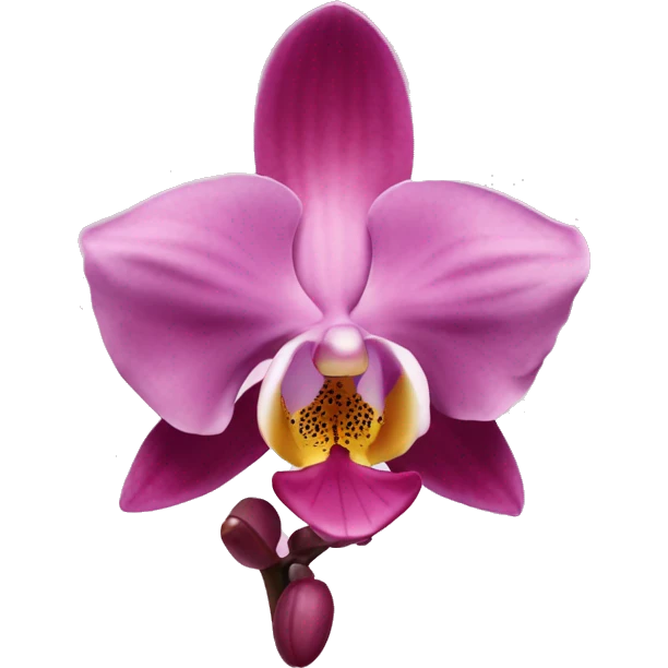 Orquídea pink emoji