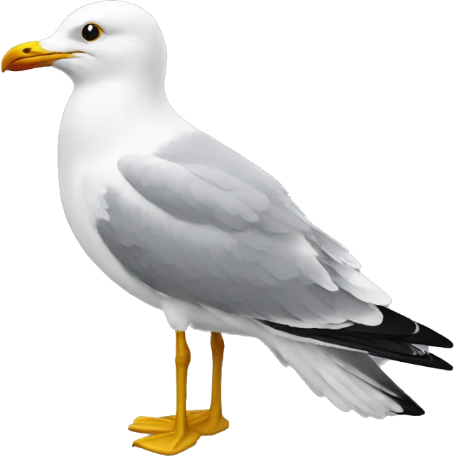 Seagulls  emoji