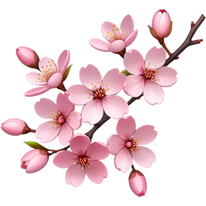 Cherry blossoms emoji