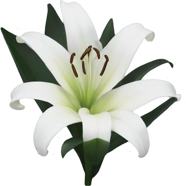 black and white lily emoji