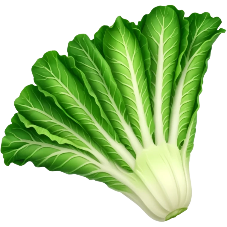 Romaine salad with no tomatoes emoji