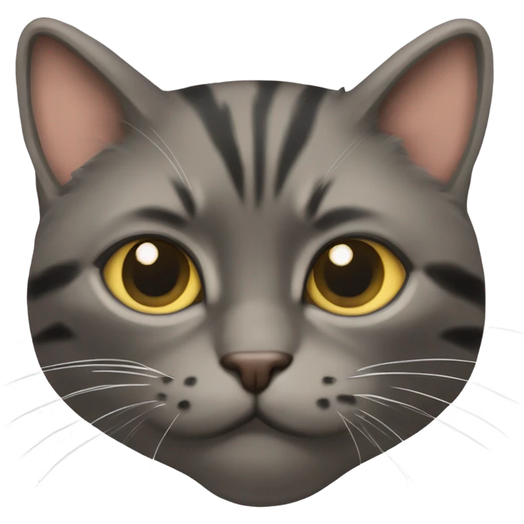 котик emoji