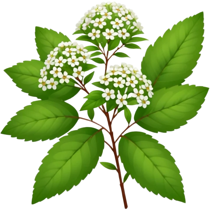 Spirea emoji