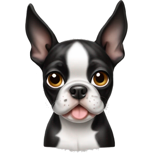 boston terrier puppy emoji