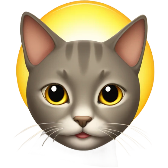 cat with sun emoji