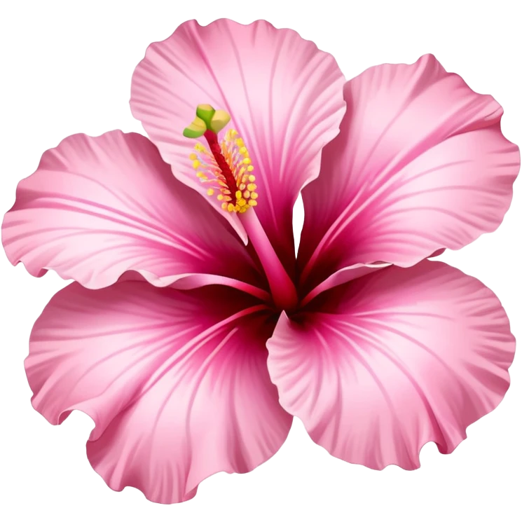 Pastel pink hibiscus  flower ￼ emoji
