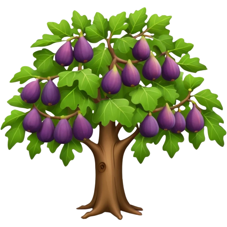 fig tree  emoji