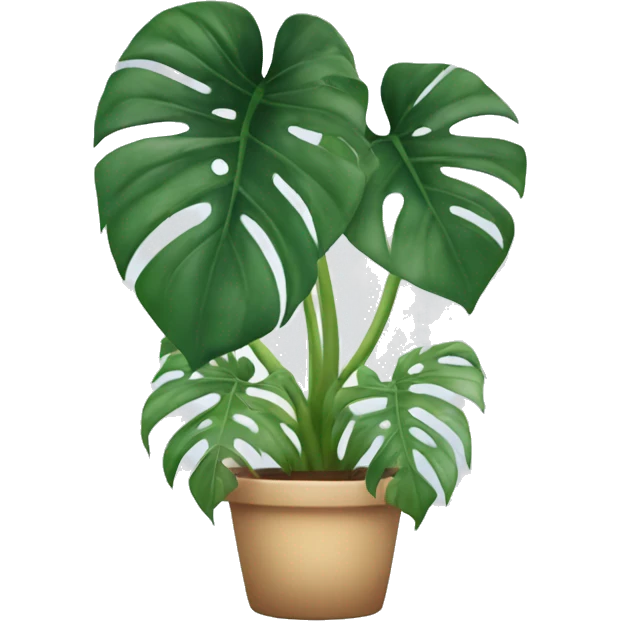 Monstera albino plant emoji