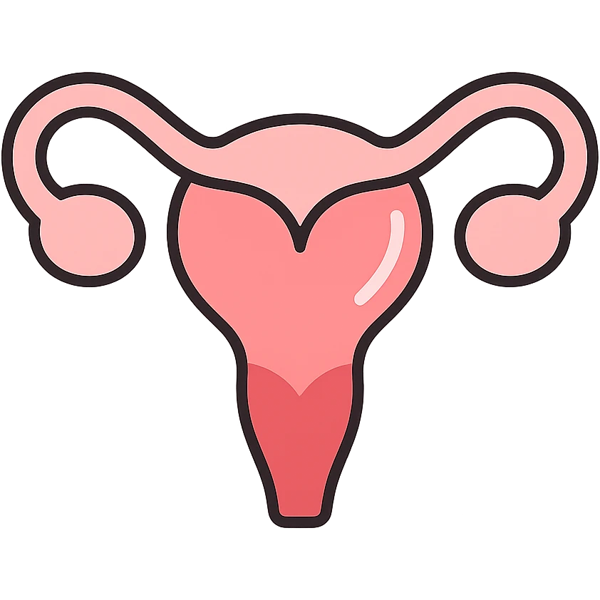 A clean, minimalistic vector illustration of a simplified uterus icon, designed as a stylized flower or heart shape with upward-sweeping fallopian tube 'horns'. Use smooth, well-defined lines with a modern flat design. Apply soft inner shadows and subtle highlights to give depth and gloss without breaking the flat aesthetic. Keep the design centered, symmetrical, and elegant. Transparent background. Color palette: soft pinks, muted reds, and gentle white highlights emoji