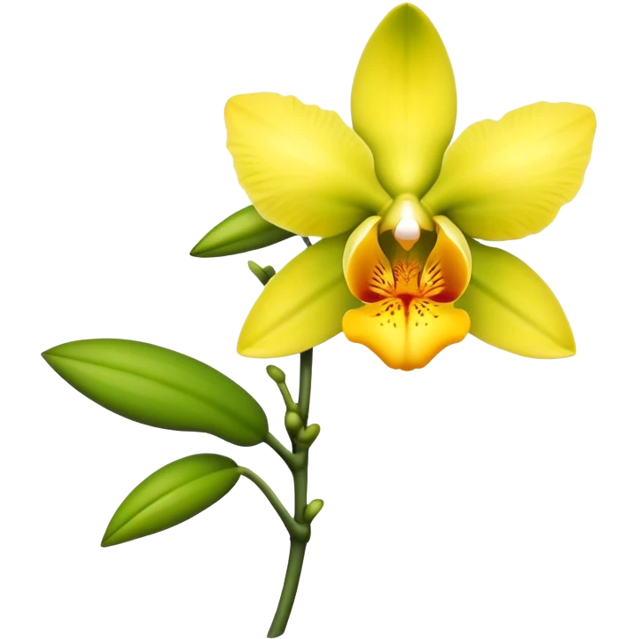 single yellow Dendrobium Orchid flower, stem emoji