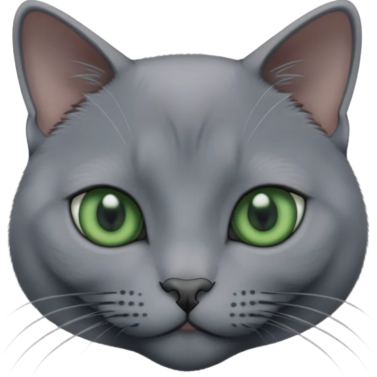 Cat russian blue emoji