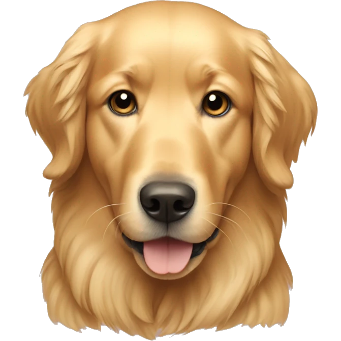 Golden retriever  emoji