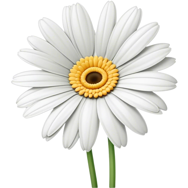 single White Gerbera Daisy, straight stem emoji