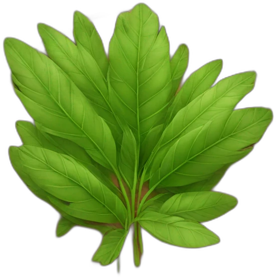 Natural medicine  emoji