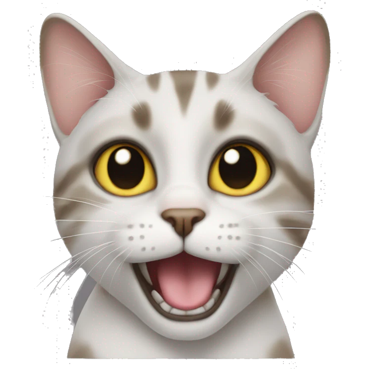 cat making sus face emoji