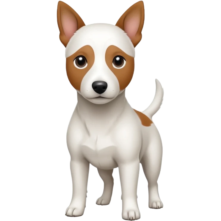a fully white jack russell the size of a kelpie with floppy ears and a half white face emoji