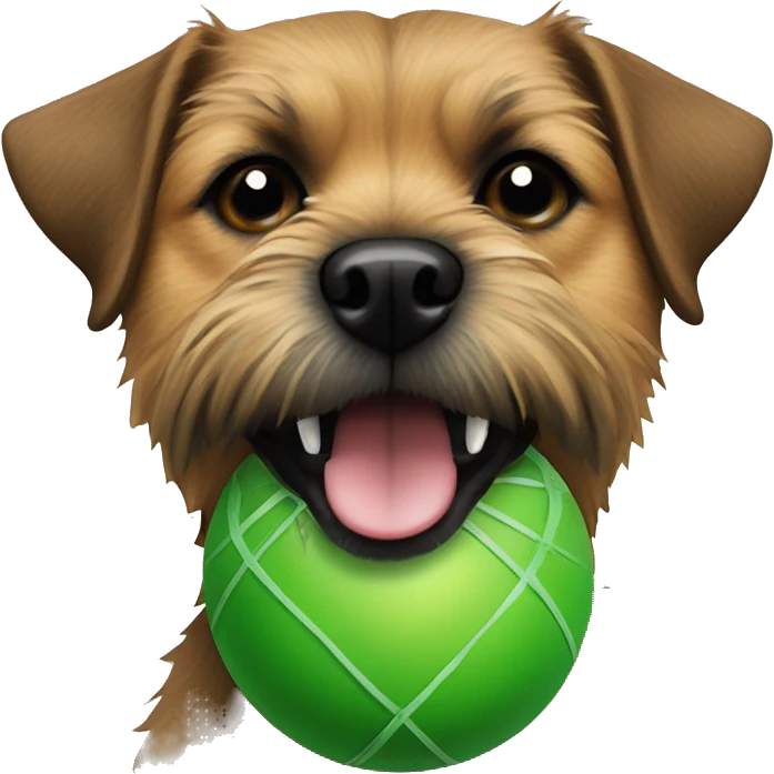 a border terrier dog with a green ball in its teeth emoji
