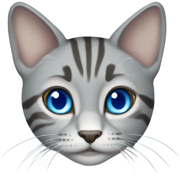 Grey tabby cat with blue eyes emoji