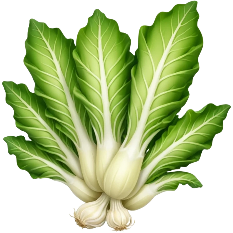 green blegian endive radicchio smooth emoji