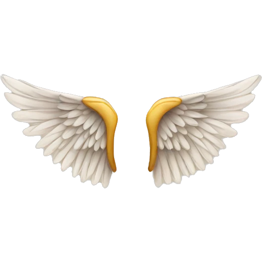 wings emoji