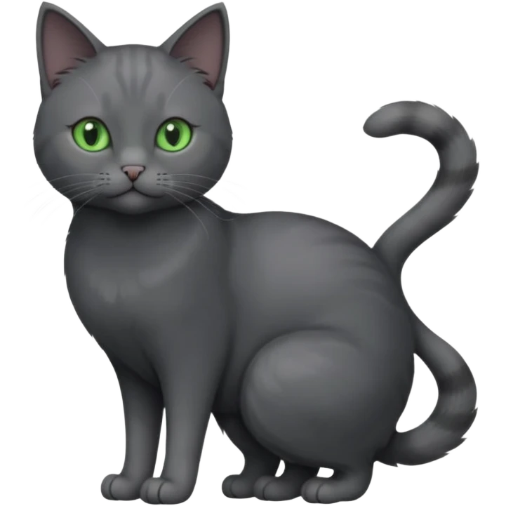 full body view of beautiful female solid dark grey cat with green eyes, grey face, white toes/paws and small white patch on her chest emoji