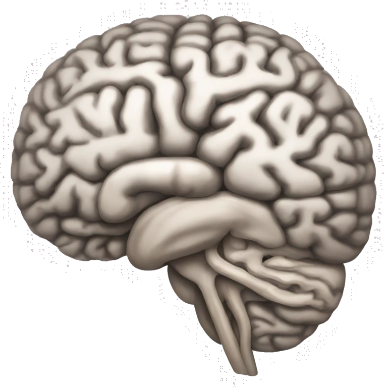 brain ventricle emoji